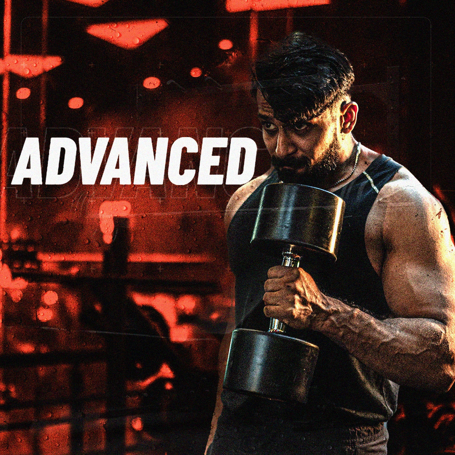 ADVANCED CALISTHENICS  HYPERTROPHY PROGRAM